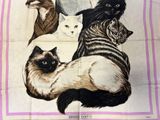 a lot of cats that are laying on a towel