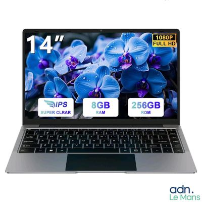 une image représentant un ordinateur portable dont l'écran affiche la photo d'une orchidée bleue