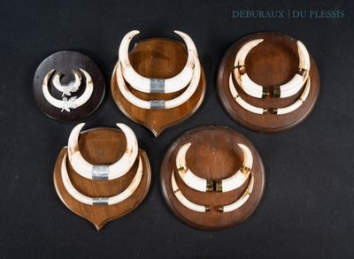 several pieces of wood with horns on them on a black surface