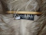 a close up of a dog ' s hair with a stick in it ' s mouth