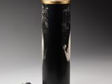 an image of a black and gold lamp with a cord plugged into it