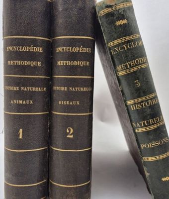 three books are stacked on top of each other on a white surface