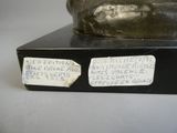 a bronze statue of a dog with a tag on it ' s collar