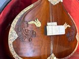 a guitar in a case on a shelf in a room
