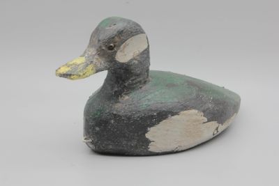un vieux canard perché sur une surface blanche