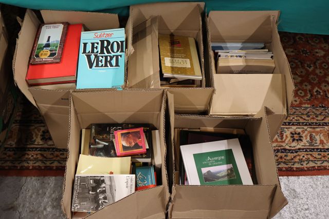 Lot de 5 cartons de livres modernes