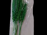 a bag of green grass on a black background