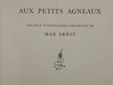 the cover of a book with a drawing of a bug on it