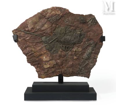 an image of a piece of rock on a stand