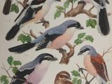 many birds that are sitting on the branches of a tree