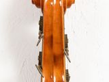 a close up of a violin on a white wall