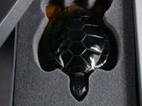 a turtle in a box that is sitting on a table