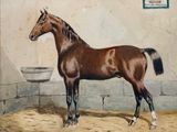un tableau représentant un cheval dans une écurie avec un bol d'eau