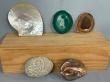trois types de pierres différents et un coquillage posés sur un socle en bois