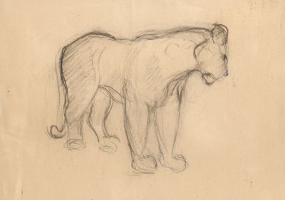dessin au crayon représentant un lion debout sur une surface plane
