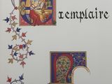 the cover of a book with a picture of a woman and a man in a medieval setting