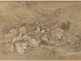 an image of a drawing of flowers in a garden