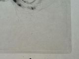 an image of a drawing of a cat ' s head with its tail curled