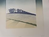une photo d'une photo représentant un paysage avec des arbres