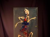 an image of a picture of a skeleton in a glass case