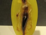 une photo d'une sculpture en verre jaune représentant une femme en robe noire