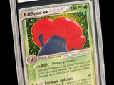 an image of a pokemon card in a plastic case