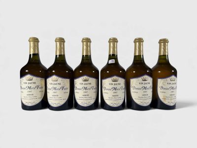 six bouteilles de vin sont alignées sur une surface blanche