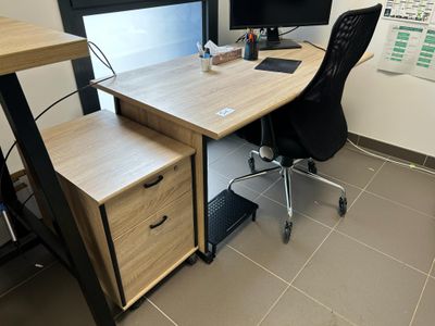 LOT PRESENTE UNIQUEMENT si le lot 50 N'A PAS TROUVE PRENEUR …