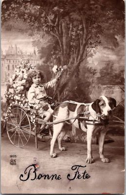 une photo d'un chien tirant une calèche dans laquelle se trouve une petite fille