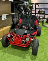 Buggy XTRM 81 212 cc Bolt, 4 temps, automatique - Véhicule n… (photo 5)
