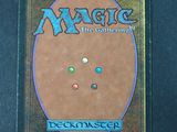 a close up of the back of a card game case