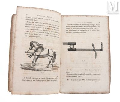 un livre ouvert sur lequel est dessiné un cheval