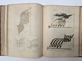 an open book with drawings on it on a table
