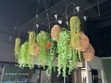 de nombreuses plantes suspendues au plafond d'un restaurant