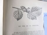 un livre ouvert sur lequel est dessiné une feuille