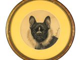 une photo d'un chien noir et blanc dans un cadre jaune