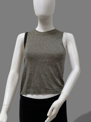 an image of a mannequin wearing a metallic top