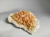 a piece of bread with a bunch of sprouts on it
