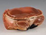 a crab that is sitting on a table