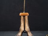 a statue of a horse ' s foot with a gold arrow sticking out of it ' s leg