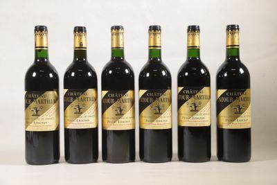 six bouteilles de vin sont alignées sur une surface blanche