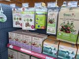 many boxes of tea on the shelf in the store