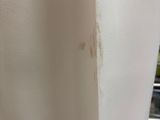 a picture of a shower curtain with a stain of paint on it