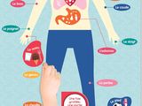 someone is pointing at a diagram of the human body