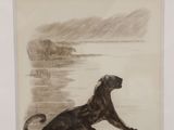 drawing of a dog sitting on the beach in front of a body of water