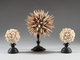 deux vases surmontés de coquillages, placés l'un à côté de l'autre