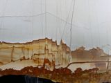 a picture of a large piece of wood that is peeling off