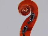 a close up of a violin with a long neck and a long tail