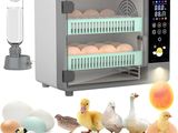 de nombreux types d'œufs différents dans un petit incubateur