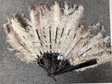 a black and white fan with feathers on the floor